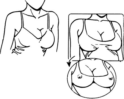 Tutorial of drawing a female body. Drawing the human body, step by step lessons. Female breast drawing tutorial. Drawing a woman's body with an emphasis on breasts.