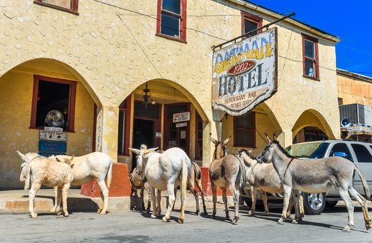 OATMAN, ARIZONA, USA - MAY 15, 2013: Historic Hotel on Route 66 in Oatman, Arizona.