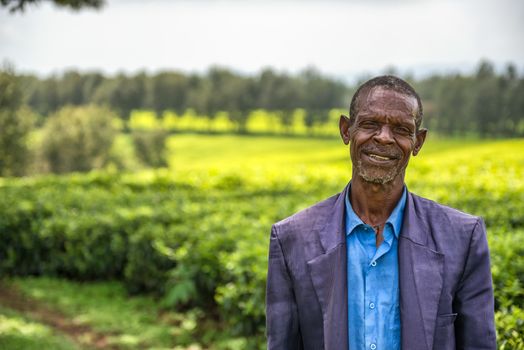 JIMMA, ETHIOPIA - MAY 2, 2015 : Ethiopian farmer on a tea plantation near Jimma, Ethiopia