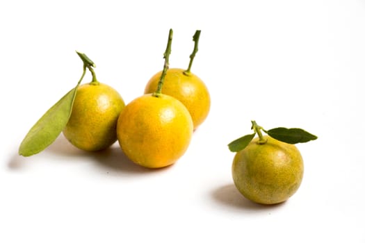 Closed up of kumquat orange that placed on white background