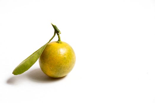 Closed up of kumquat orange that placed on white background