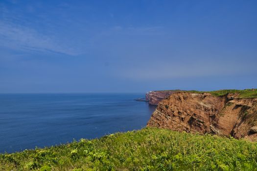 The Coastline of Heligoland - blue sky and blue north sea - green flower in front