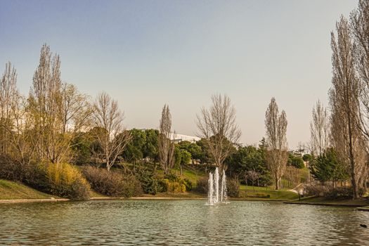 Lake in the central park of the city of Tres Cantos. community of Madrid. Spain