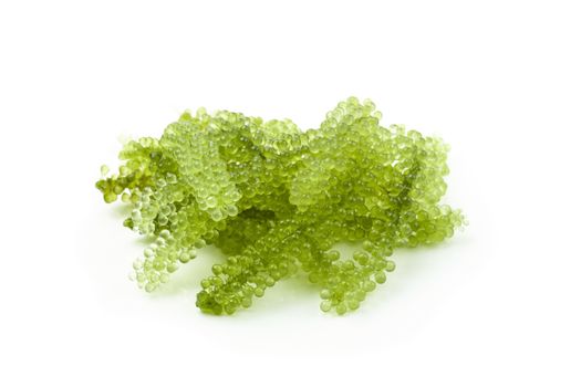 Oval sea grapes seaweed, Close up Green Caviar isolated on white background.