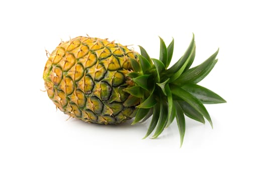 Ripe pineapple is tropical fruit isolated on white background.