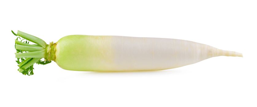 Daikon radishes isolated on a white background.