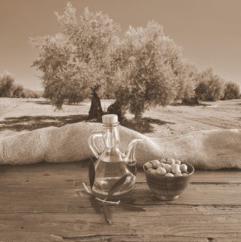 Olive oil on a table in the olive grove.