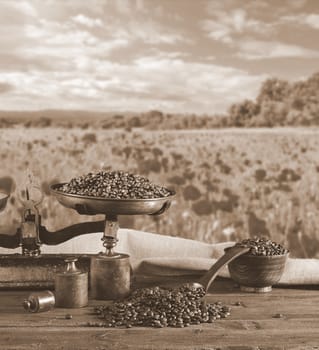 Coffee with scale and coffee beans bag in poppy field.