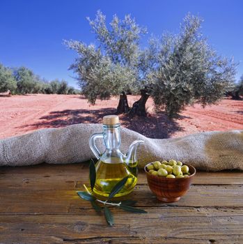 Olive oil on a table in the olive grove.