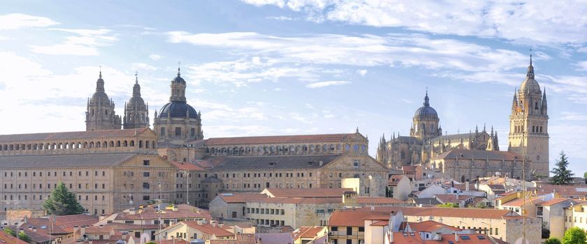 View of the Cathedral of Salamanca and Clerecia towers.