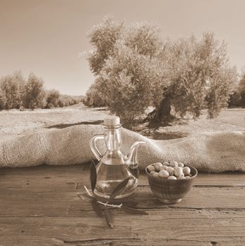 Olive oil on a table in the olive grove.