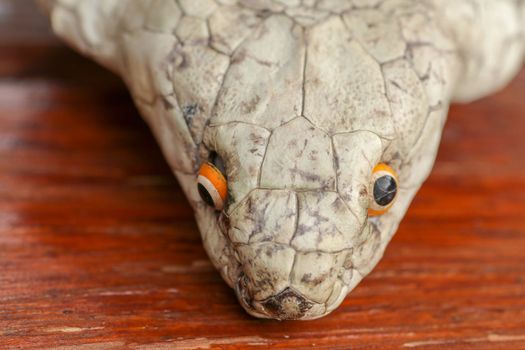 A close up head of a King Cobra. Tanned skin of Ophiophagus hannah. Belt of the most venomous snake on Bali island in Indonesia. Product from leather workshop.