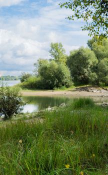 Landscape by the river against the backdrop of the forest on a summer day.