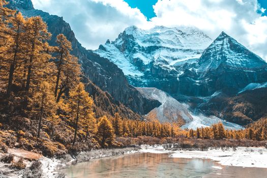 Colorful in autumn forest and snow mountain at Yading nature reserve, The last Shangri la