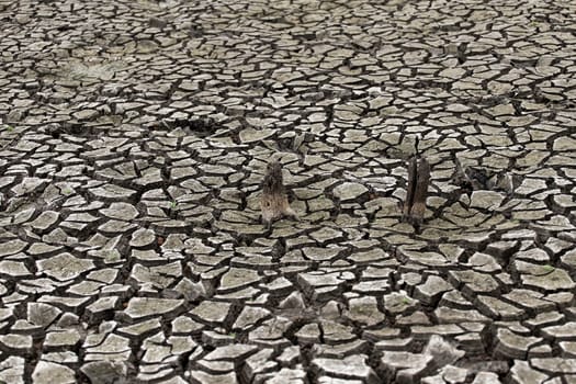 Cracked dry land without water.Abstract background