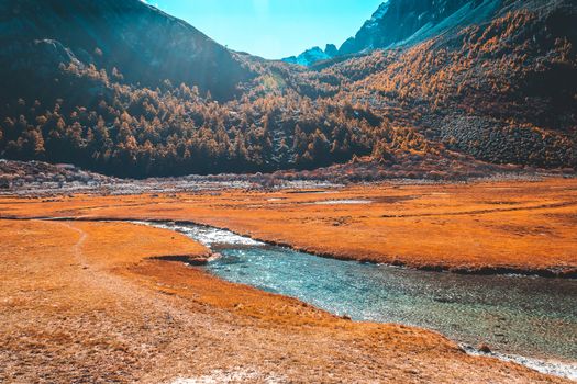 Pearl Lake or Zhuoma La Lake and snow mountain in autumn in Yading Nature reserve, Sichuan, China.