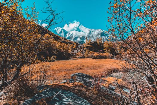 Pearl Lake or Zhuoma La Lake and snow mountain in autumn in Yading Nature reserve, Sichuan, China.