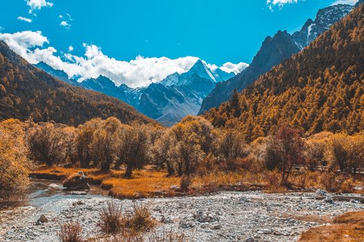 Colorful in autumn forest and snow mountain at Yading nature reserve, The last Shangri la