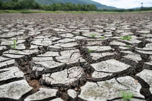 Cracked dry land without water.Abstract background