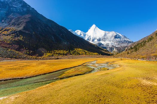 Colorful in autumn forest and snow mountain at Yading nature reserve, The last Shangri la