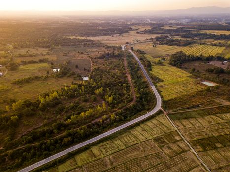 Top view aerial photo from drone of Rice fields with cottages