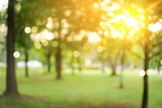 Blur nature bokeh green park by beach and tropical coconut trees in sunset time.