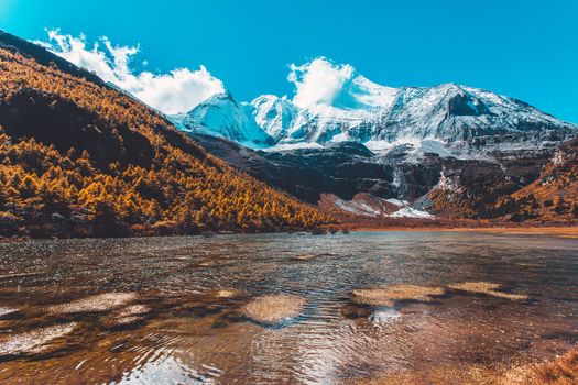 Pearl Lake or Zhuoma La Lake and snow mountain in autumn in Yading Nature reserve, Sichuan, China.