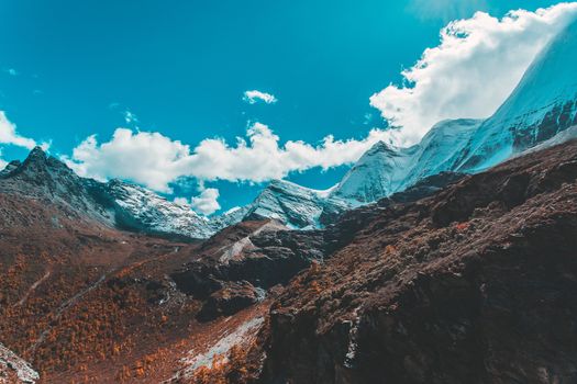 Colorful in autumn forest and snow mountain at Yading nature reserve, The last Shangri la