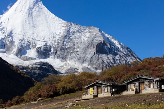 Colorful in autumn forest and snow mountain at Yading nature reserve, The last Shangri la