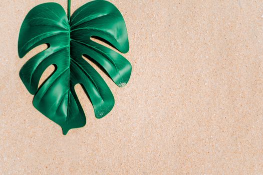 Tropical monstera leaf on sand texture background summer beach concept.