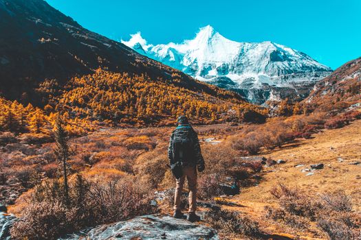 Colorful in autumn forest and snow mountain at Yading nature reserve, The last Shangri la