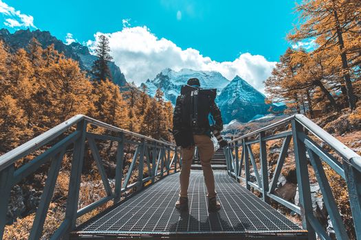 Colorful in autumn forest and snow mountain at Yading nature reserve, The last Shangri la