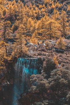 Colorful in autumn forest and snow mountain at Yading nature reserve, The last Shangri la