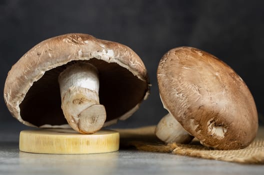 Fresh Portobello Mushroom on wooden board