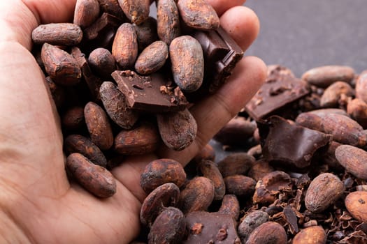 Dark chocolate pieces crushed and cocoa beans, top view