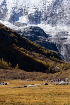 Colorful in autumn forest and snow mountain at Yading nature reserve, The last Shangri la