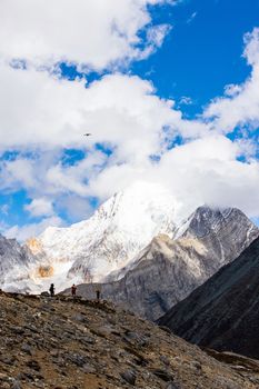 Colorful in autumn forest and snow mountain at Yading nature reserve, The last Shangri la