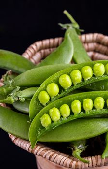 Sugar snap peas with mint on a rustic wood background