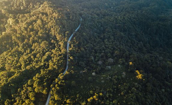 Top view of countryside road passing through the green forrest and mountain