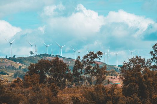 Wind turbines on sunny morning