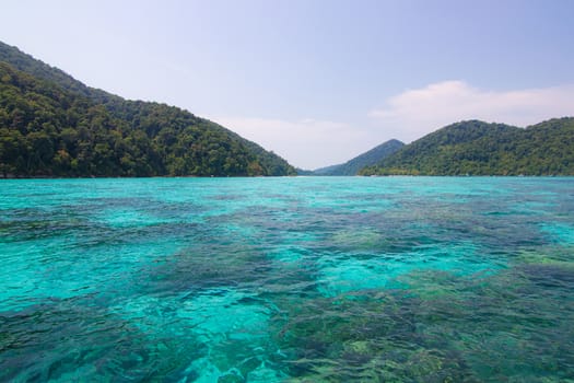 Travel Thailand - Surin Islands as a tourist destination featured in the beauty under the sea.  The door to greet visitors on arrival island.  Phang-nga, Thailand