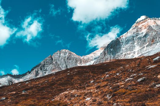 Colorful in autumn forest and snow mountain at Yading nature reserve