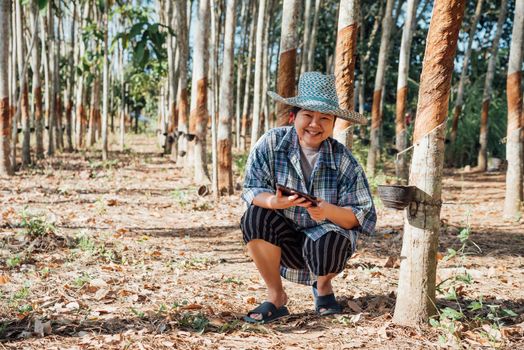 Asian woman smart farmer agriculturist happy at a rubber tree plantation with Rubber tree in row natural latex is a agriculture harvesting natural rubber in white milk color for industry in Thailand