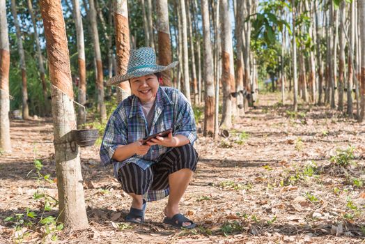 Asian woman smart farmer agriculturist happy at a rubber tree plantation with Rubber tree in row natural latex is a agriculture harvesting natural rubber in white milk color for industry in Thailand