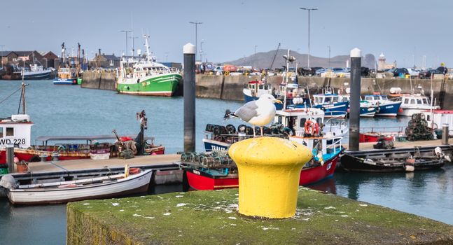 Howth near Dublin, Ireland - February 15, 2019: view of the fishing port of the city where are parked professional fishing boats on a winter day