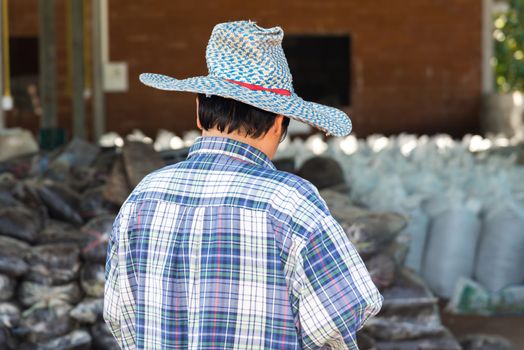 Asian woman farmer agriculturist happy at a Fertilizer composting plant with Organic Fertilizer, Compost (Aerobic Microorganisms) from animal waste for use in the organic agriculture industry