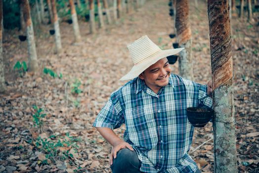 Asian man farmer agriculturist happy at a rubber tree plantation with Rubber tree in row natural latex is a agriculture harvesting natural rubber in white milk color for industry in Thailand