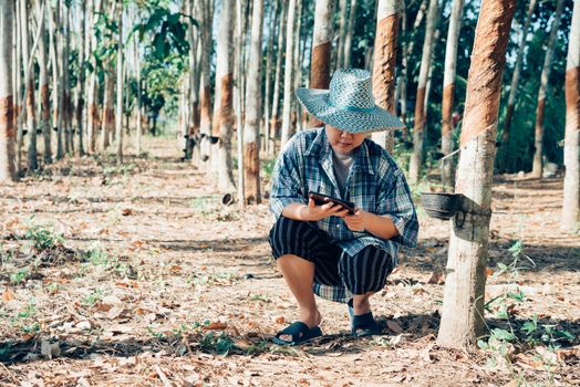 Asian woman smart farmer agriculturist happy at a rubber tree plantation with Rubber tree in row natural latex is a agriculture harvesting natural rubber in white milk color for industry in Thailand