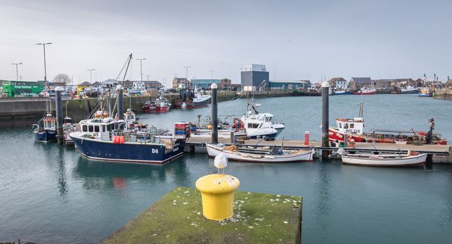 Howth near Dublin, Ireland - February 15, 2019: view of the fishing port of the city where are parked professional fishing boats on a winter day