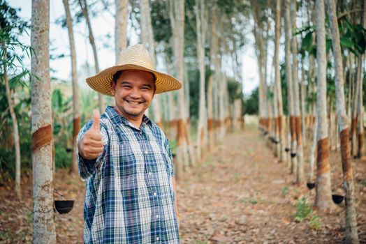 Asian man farmer agriculturist happy thumbs up at a rubber tree plantation with Rubber tree in row natural latex is a agriculture harvesting natural rubber in white milk color for industry in Thailand